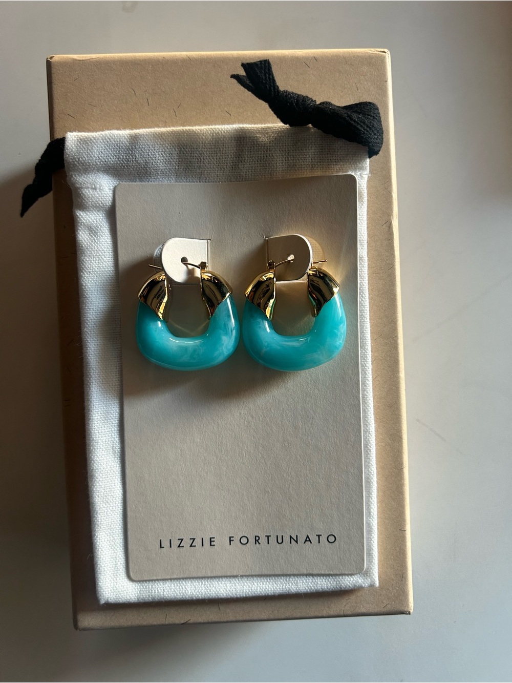 Lizzie Fortunato Organic hoop Earrings in “Pool”